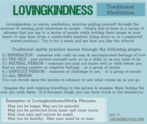 Day 16 Loving Kindness Mindfulness Meditation Teacher Training Program With Sean Fargo