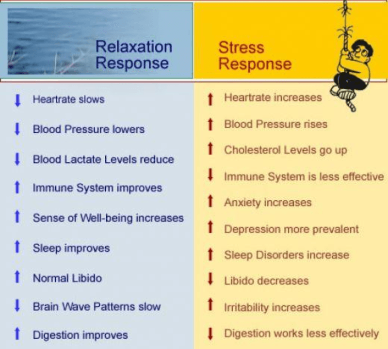 Relaxation and Stress Response Relaxation and Stress Response
