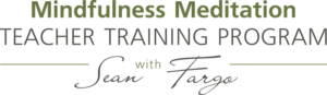 Mindfulness Meditation Teacher Training Program with Sean Fargo
