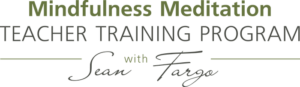Mindfulness Meditation Teacher Training Program with Sean Fargo