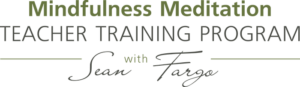 Mindfulness-Meditation-Teacher-Training-Program-Logo-300x87-1