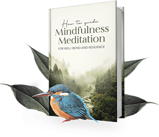 How to Guide Mindfulness Meditation How to Guide Mindfulness Meditation